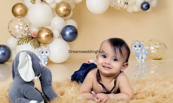 Vikram Studio Wedding Photography